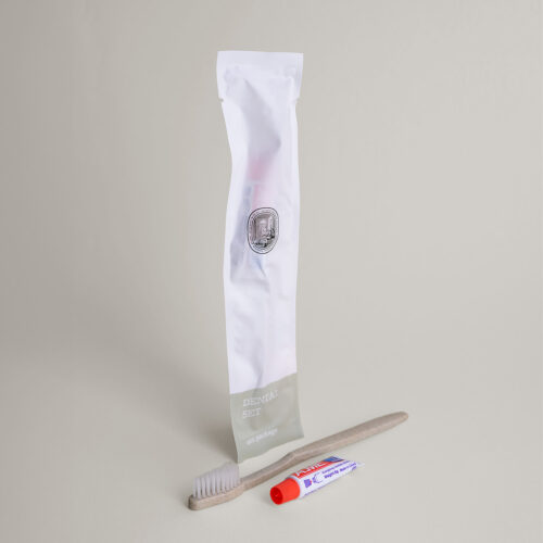 toothbrush and a toothpaste kit